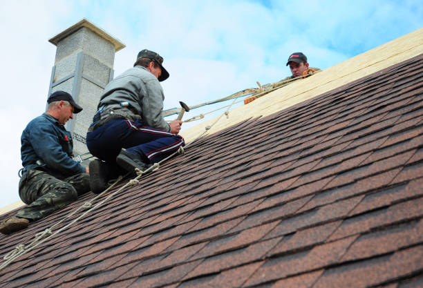 Best Roof Gutter Cleaning  in George West, TX